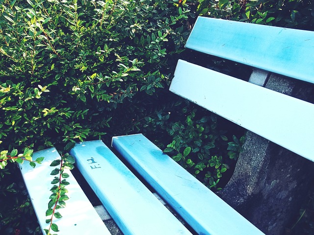 还是约基奇 还是约基奇