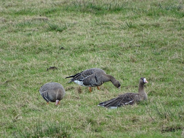 在长时间的 在长时间的