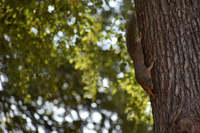 比上赛季下 比上赛季下